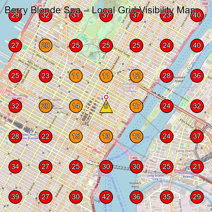 Berry Blonde Spa GeoGrid visibility map for Medical Spa in New York